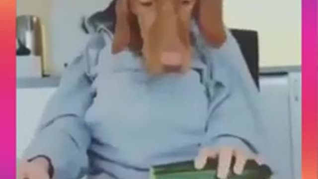 😂 Cute & Funny Dog Videos 20 😂 #Shorts #Short #Dogs