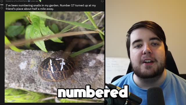 Why you should Number your SNAILS