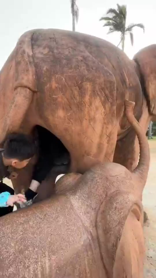 Sooo nice the baby 🤣🤣🤣🤣🤣🤣🤣🙊🙊🙊🙊🙊🥳🥳🥳🥳🥳🥳