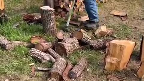 Biggest hands on earth