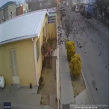 WTF?? Something ain't right in Mexico 🐰🕳 - 5G ?