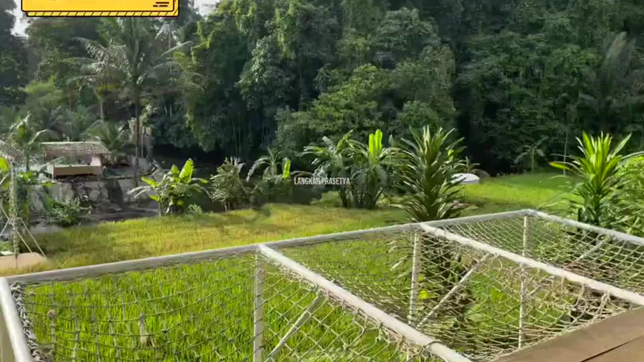 Kampung Durian Bengkulu Tengah - Wisata Kampoeng Durian