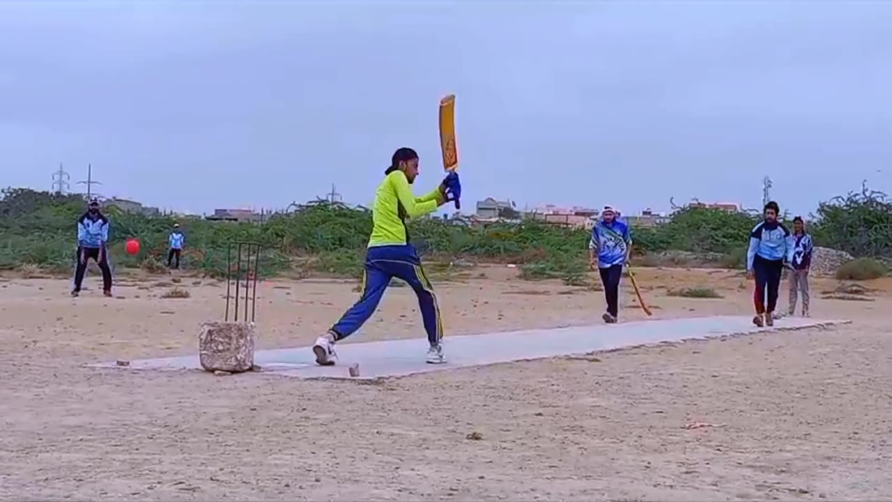 Cricket crazy 🤣