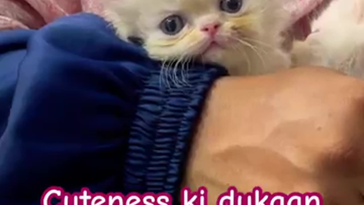 Cute💕😑