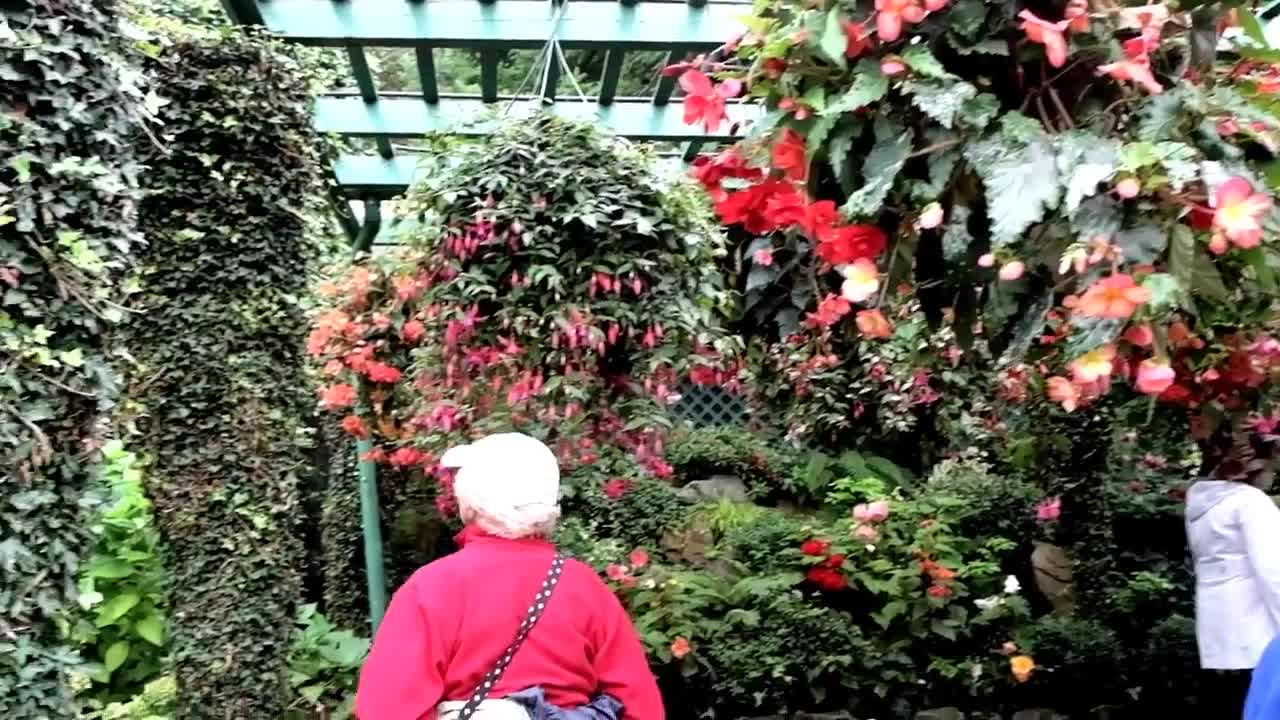 Beautiful Flower Garden in Canada, The Butchart Gardens-3