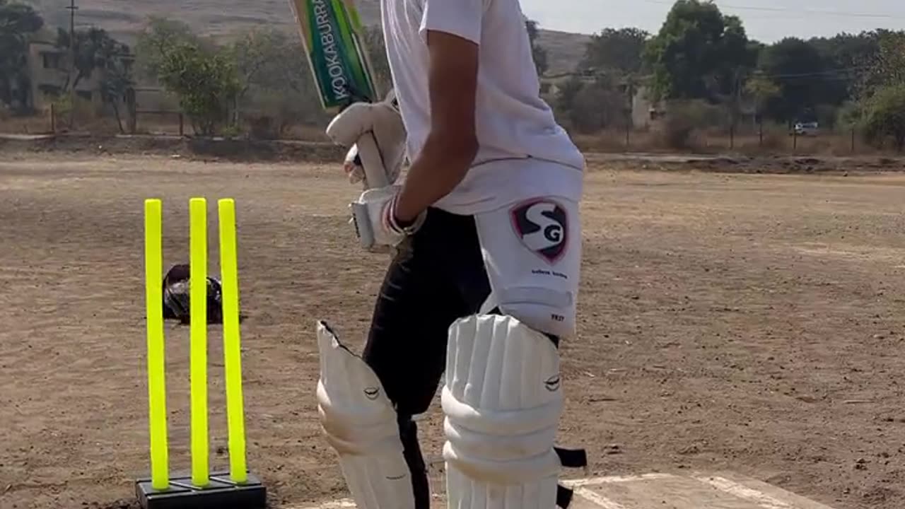 cricket video . best video. nice video .