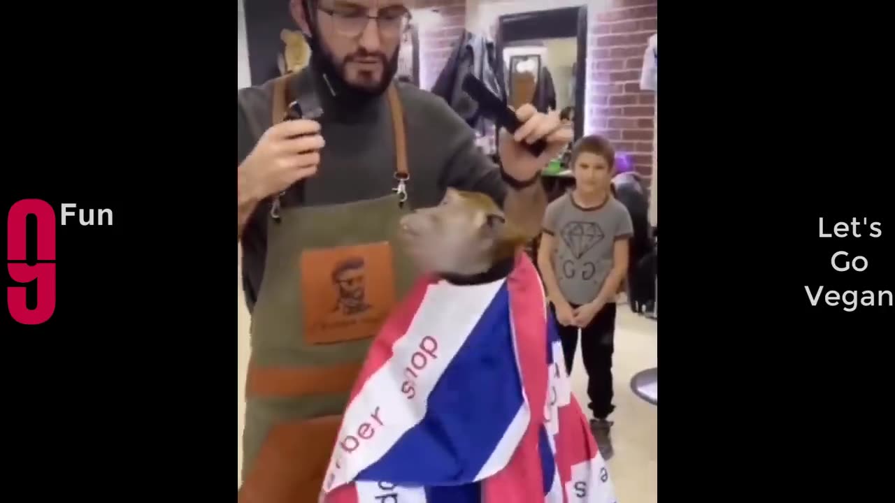 TRY NOT TO LAUGH 😆 Funny Videos Compilation.