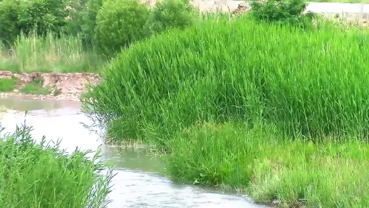 One day, I was enjoying nature somewhere beautiful and quiet