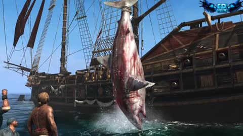 Assassin's Creed 4 All Harpooning Activities & The White Whale ( Moby Dick )