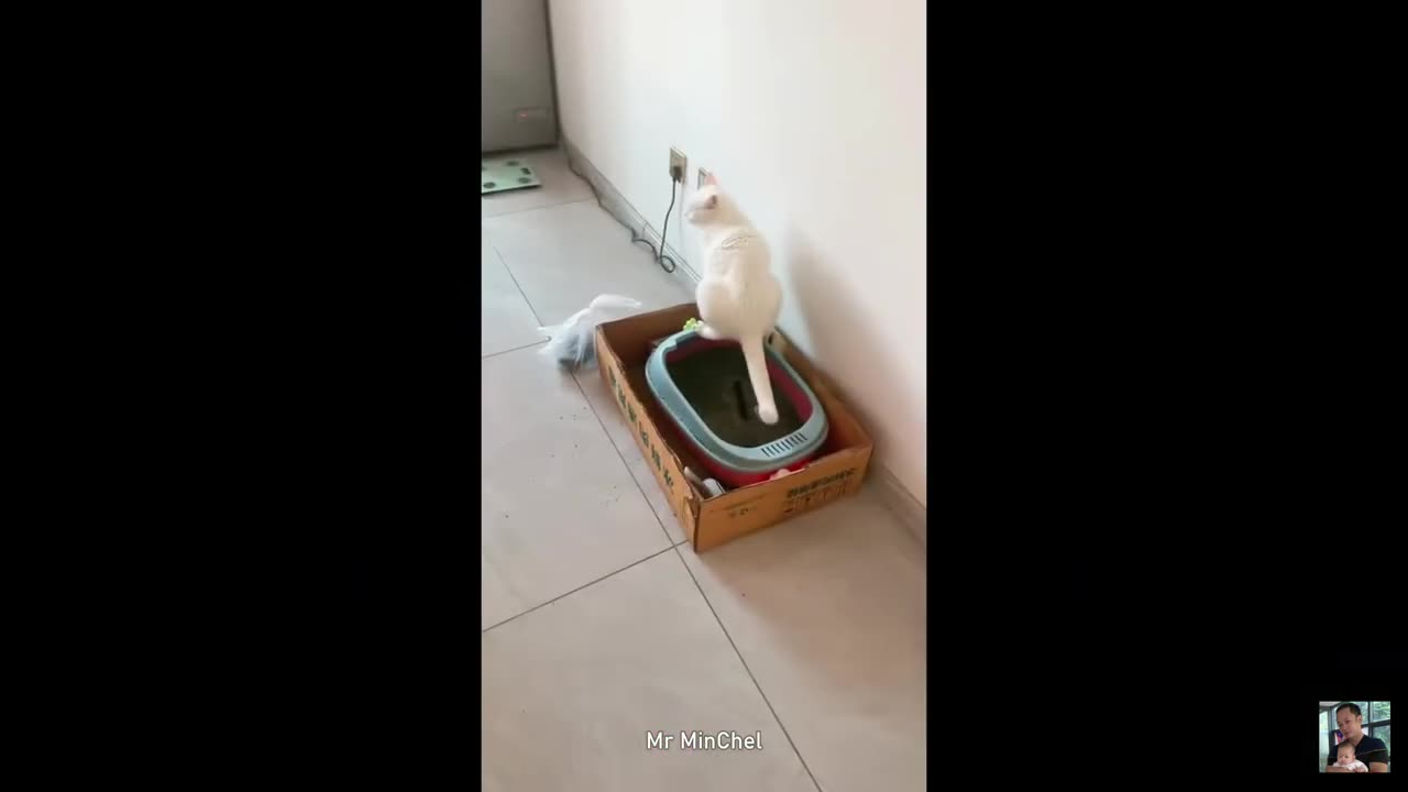 Funny dog and cat😂||unlimited fun||🤪