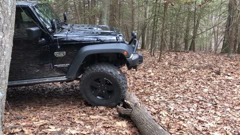 Jeep Rubicon Wrangler driving over a downed tree 2012 MW3 edition