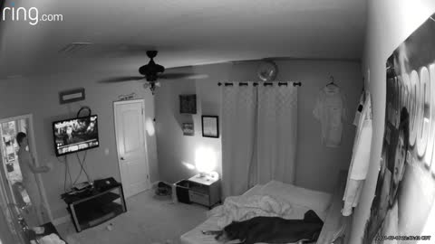 Balloon Caught in Ceiling Fan Scares Son