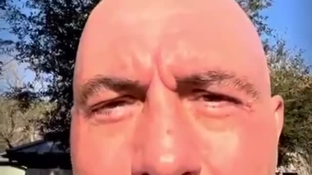 Joe Rogan and his Pod cast.