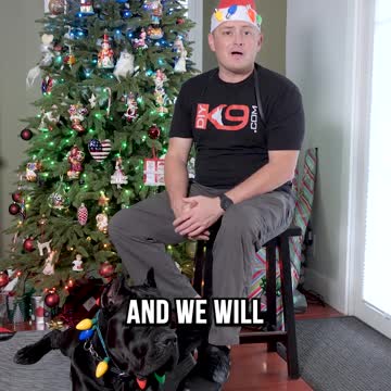 Give the Gift of Dog Training!