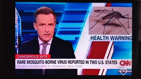 WATCH OUT FOR THE MOSQUITOS - ZAY SPEAK TRUTH