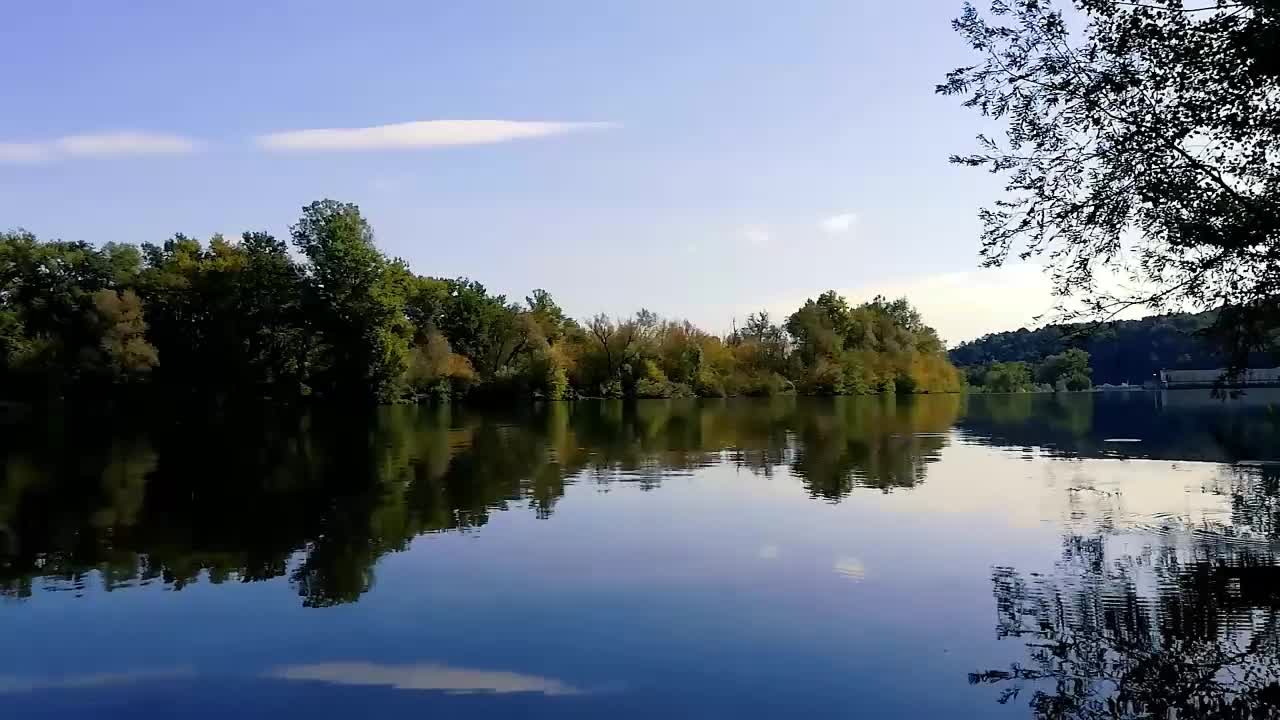 Only decades can trees grow so tall