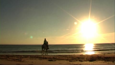 Woman on horse at seashore, riding on beach into sea