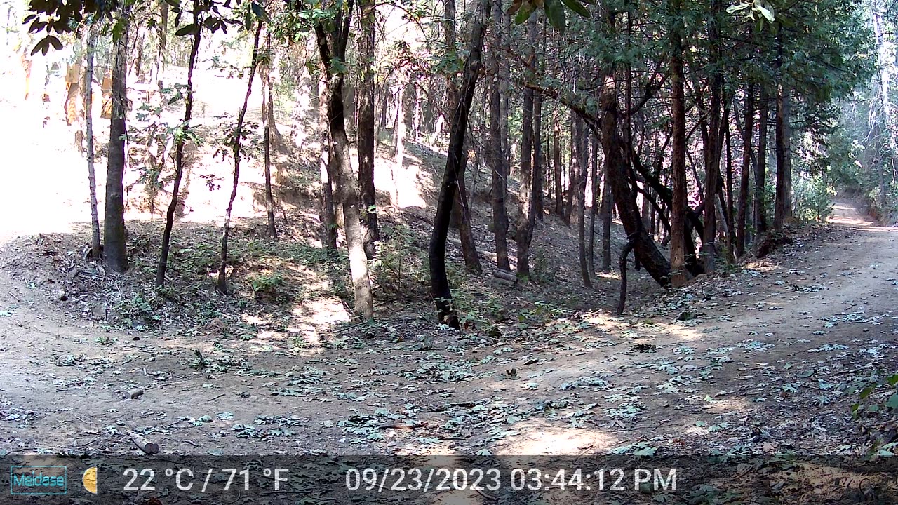 Audrey Driving the Backhoe Back to the House
