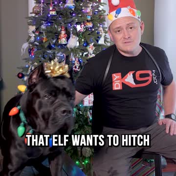 The Best Hiding Spot for Elf on a Shelf