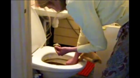 Shit Hands Toilet Project 10h.
