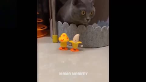 🤣 2021 Funniest 🐶 Dogs and 😻 Cats - Awesome Funny Pet Animals Videos
