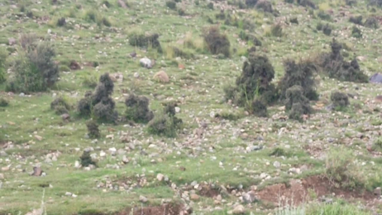 We left from the mountains | MuqeetVines Videos