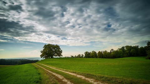 Tree Clouds & Greenry
