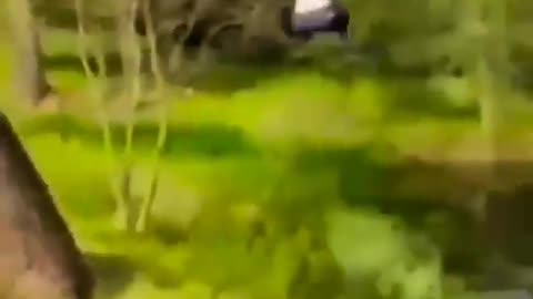 Most Funny Video #05