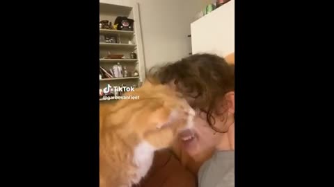 Fun with pets