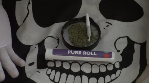 PTS Miracle Alien Cookies
