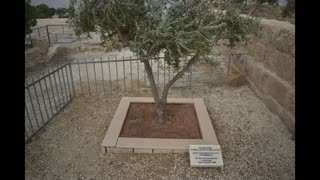 Mt. Nebo, Jordan. Where Moses Died.