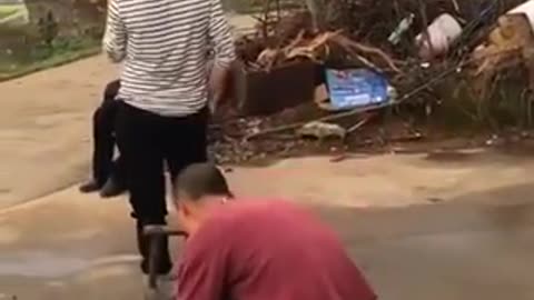 FUNNY VIDEO COLLECTION