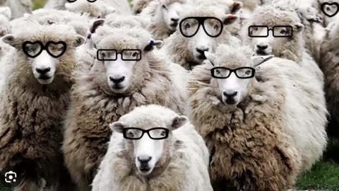 BREAKING NEWS- THE WORLD IS A LIE.....ALL OF IT-