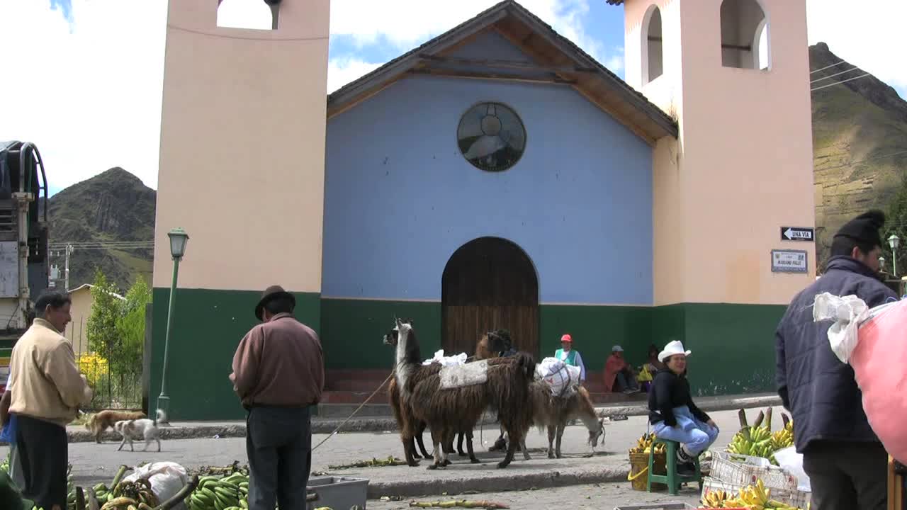 Ecuador market and llamas