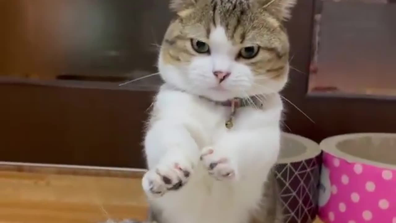 Ten decided hand power😼✨ However, it was failur😽