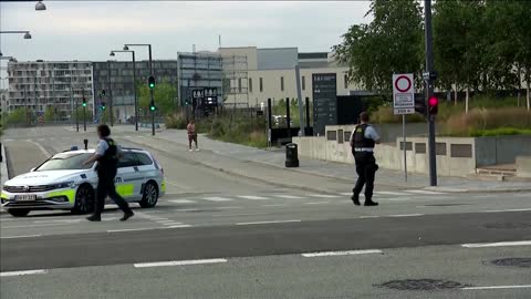 Three people shot dead in Copenhagen mall