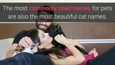 Cat Names – Top 10 Most Popular Cat Names