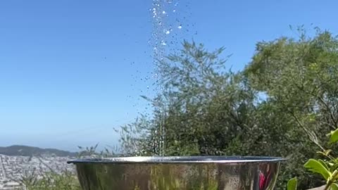 Hummingbird Takes a Shower in Backyard Fountain