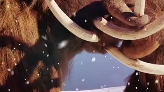 .Facts You Didn't Know About Mammoths #shorts