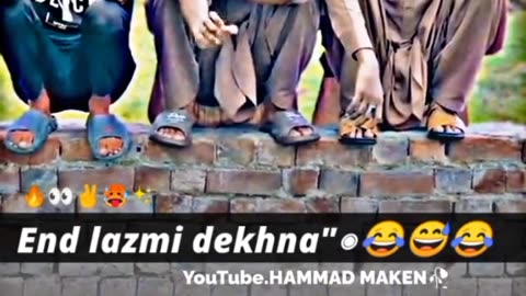 Funny videos