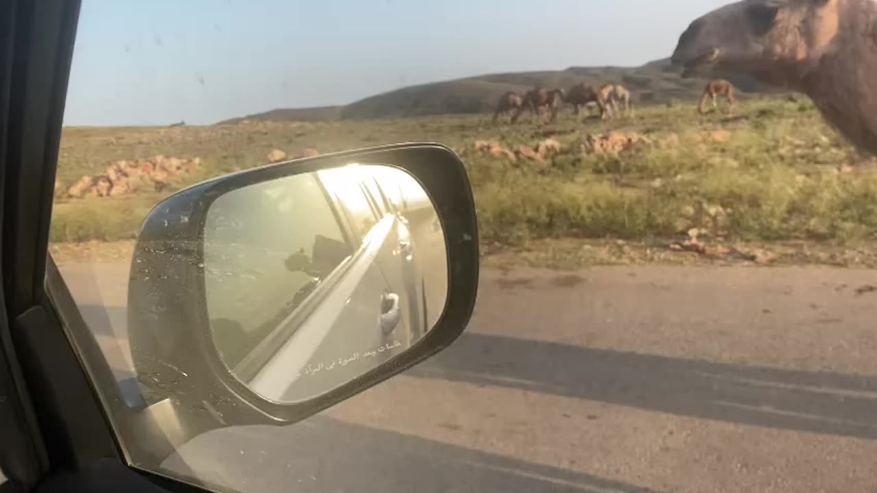 SALALAHA-oman Beutifull view