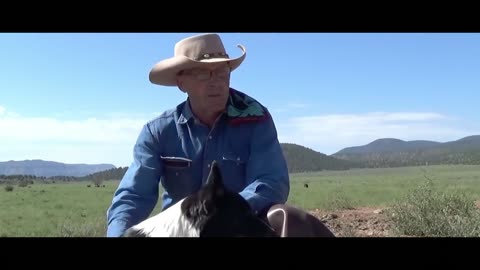 GVG2 TRAILER