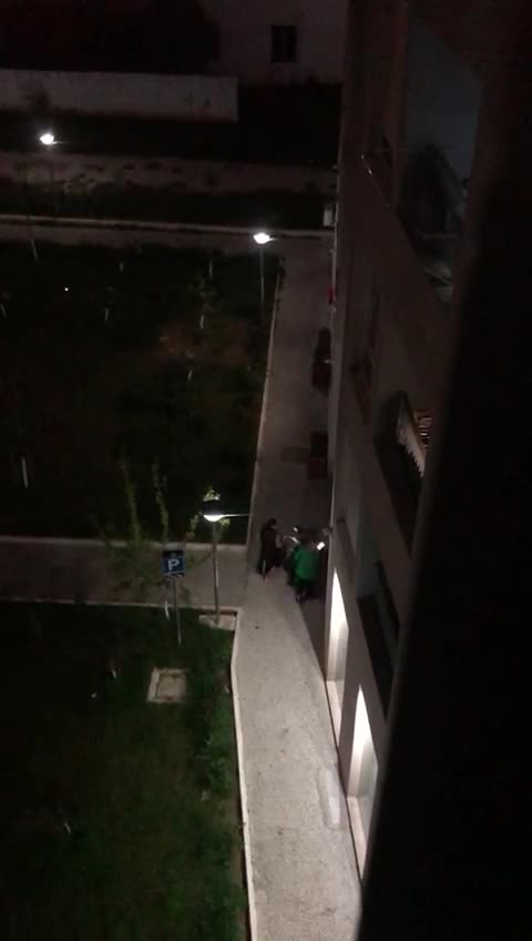 28 vjecarja e dhunuar