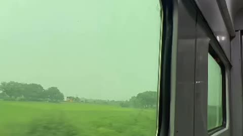 Train view