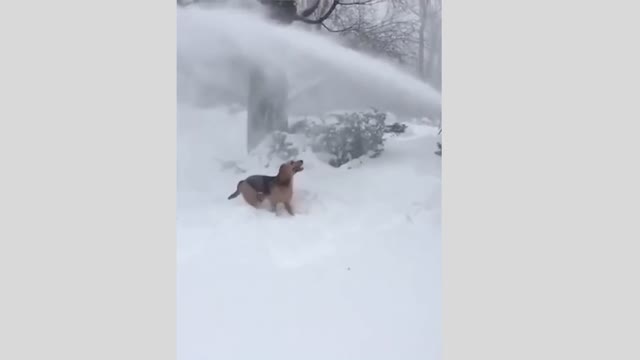 Winter is coming!
