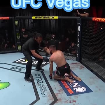 TOP FINISHES || UFC VEGAS