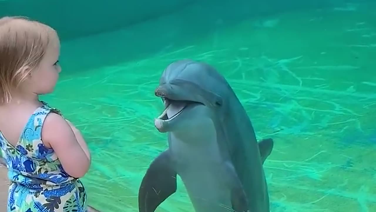 A cute little girl talk to dolphin 🐬.