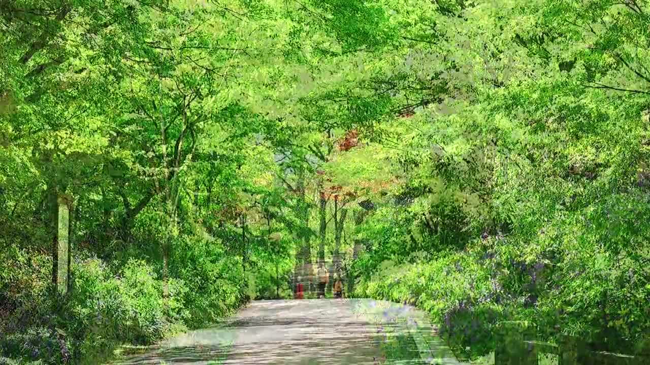 A happy you hidden in the summer