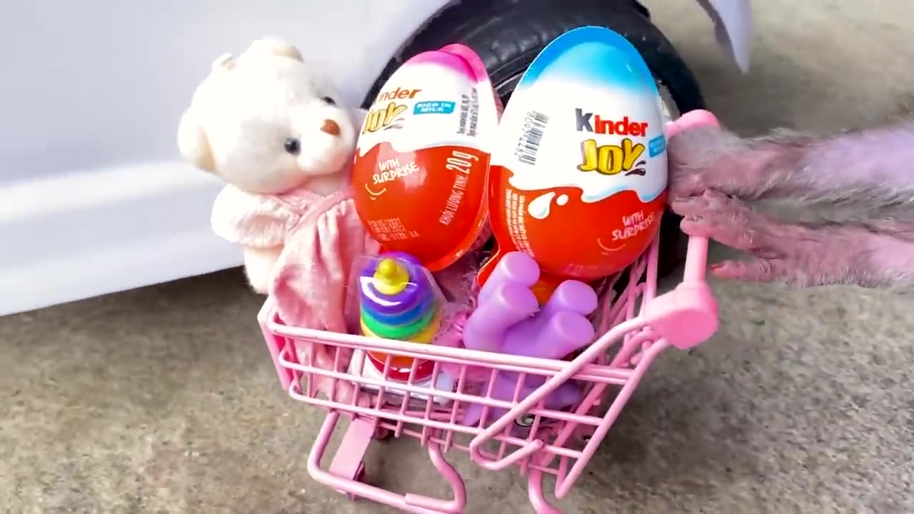 Bon Bon doing shopping in Toy store and eat Kinder Joy Egg chocolate with puppy