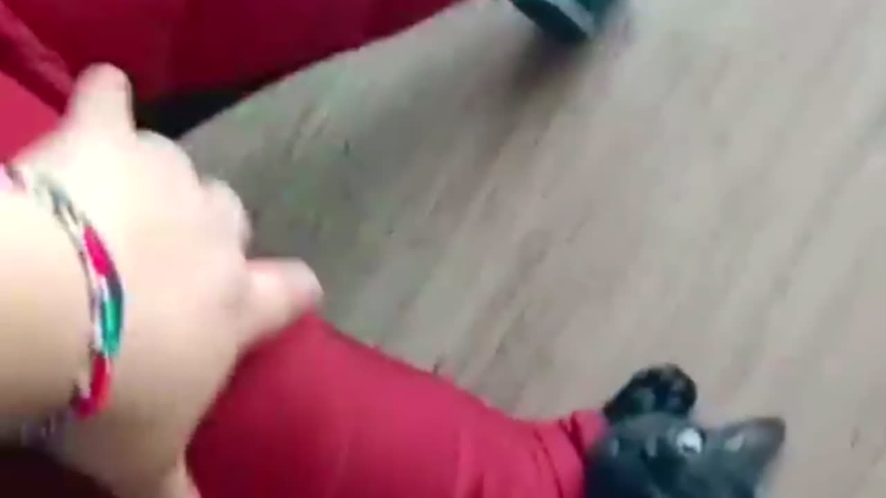 Funny Animal Videos 2024 Best Dogs And Cats Videos ๐บ๐short,viral,tiktok